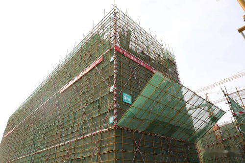 發展為要 項目為王 實干為先 我區召開重點基礎設施建設項目觀摩總結會